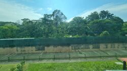 Lentor Villas (D26), Semi-Detached #576768511